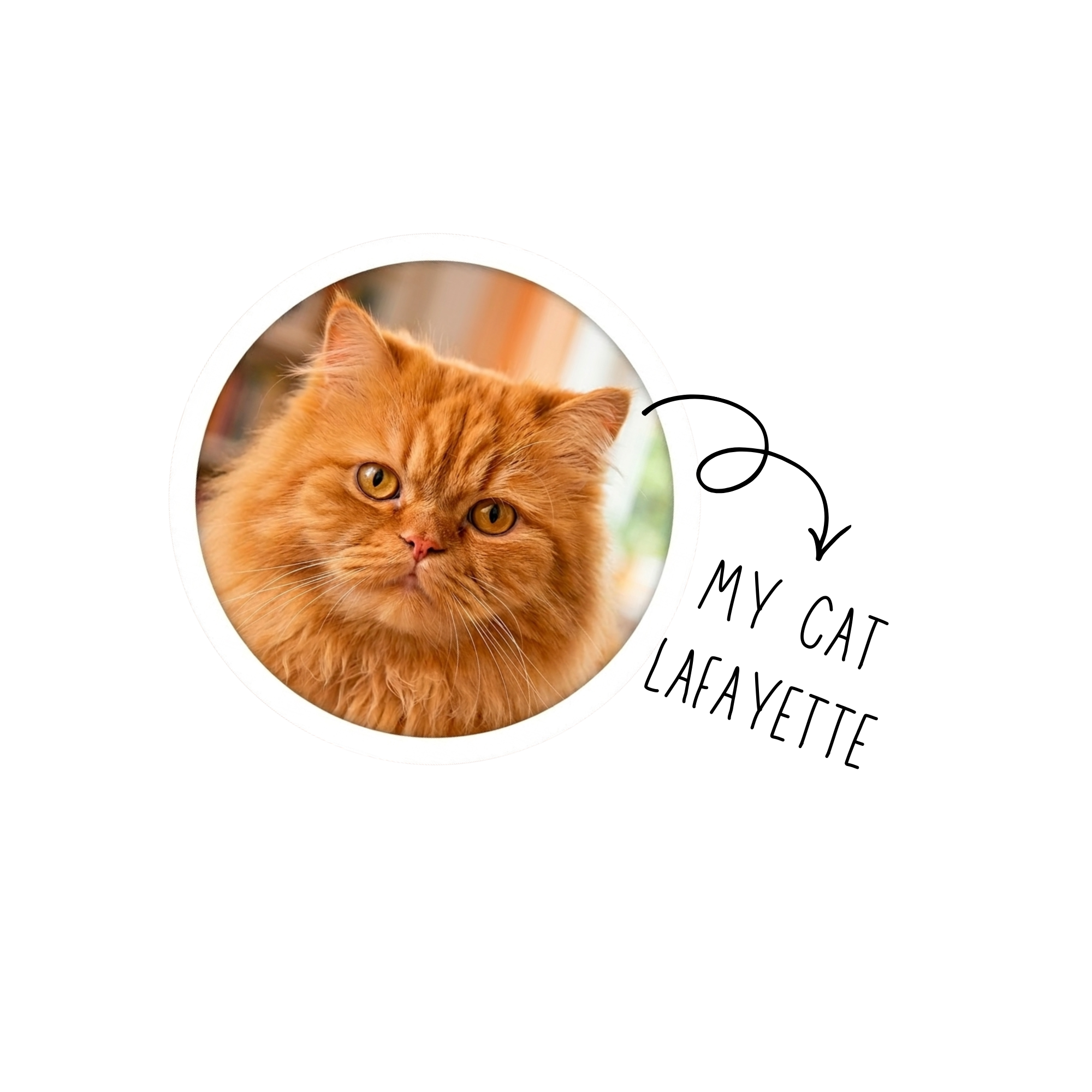 Emotional Support Cat